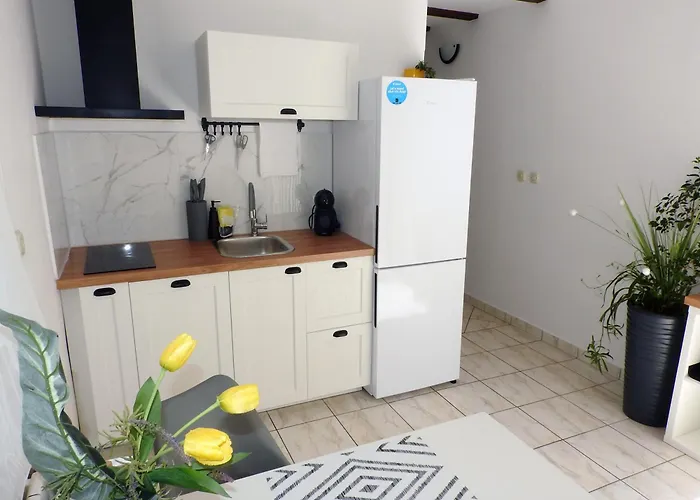 Apartment Ines- Stinjan *